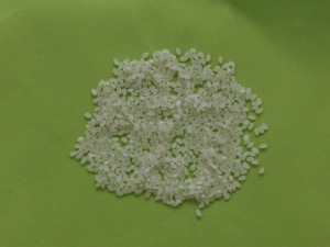 cimg7447