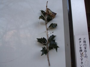 dscf4176