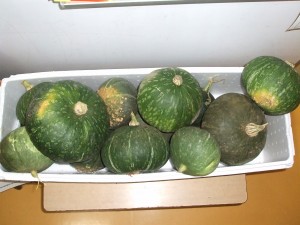 dscf5414
