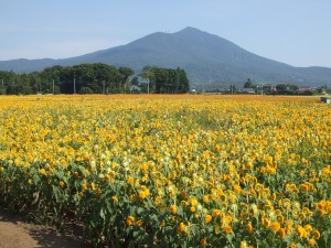 dscf5425