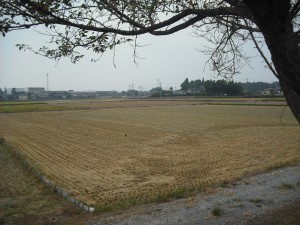 dscf1378