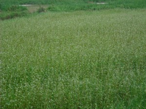 dscf1379