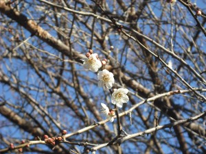 dscf0184