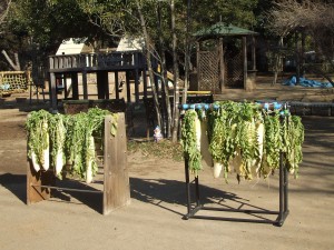 dscf61431
