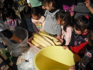 dscf0281