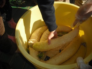 dscf0298