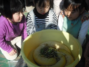 dscf0302