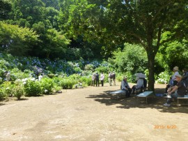 P1060026