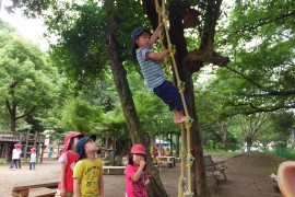 DSCF3541