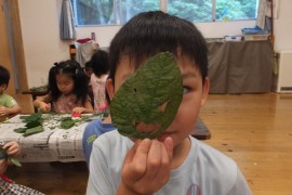 DSCF3581