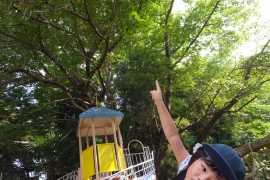 DSCF3697