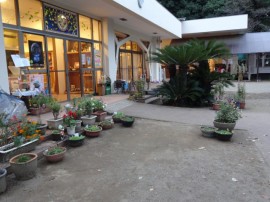 s_DSC00349