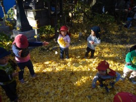 s_DSC06209