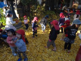 s_DSC06210