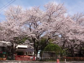 s_DSC01497