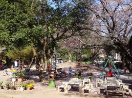s_DSC01540