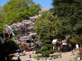 s_DSC01542