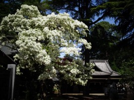s_DSC01597