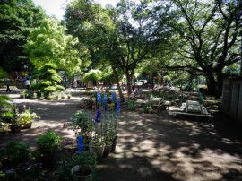 s_DSC01639