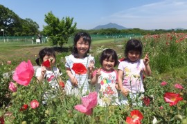 s_DSCF7495