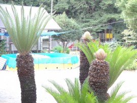 s_DSC01719