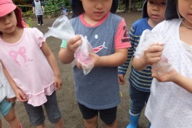s_DSCF7847