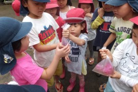 s_DSCF7850