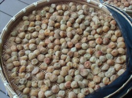 s_CIMG5267