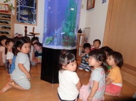 s_DSC07616