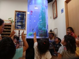 s_DSC07618