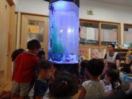 s_DSC07621