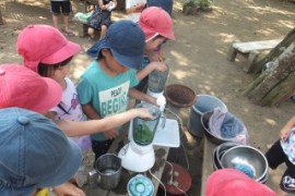 s_DSCF8166