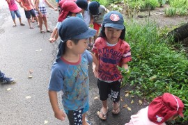dscf8634