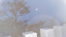 s_20161114095554