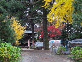 s_dsc01904