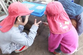 s_dscf2408