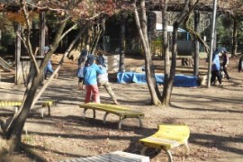 s_dscf2987-1