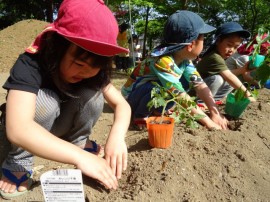 s_DSC00150