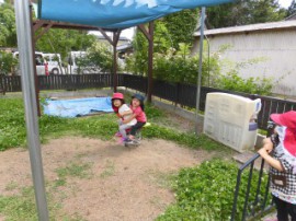 s_CIMG0183 (1)