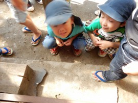 s_DSCN0621