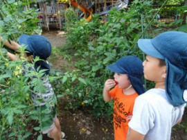 s_DSC00646