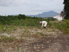 s_DSC02337