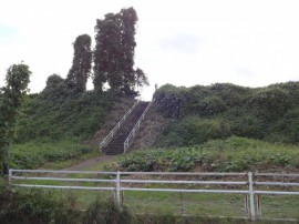 s_DSC02339