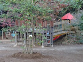 s_DSC02425