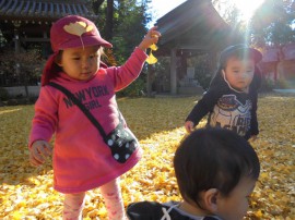 s_DSC09663