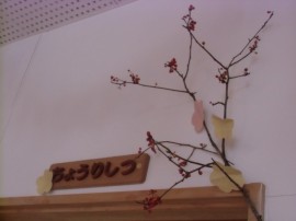 s_CIMG7236