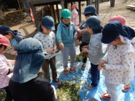 s_DSCN7567