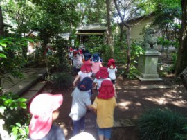 s_DSC04426