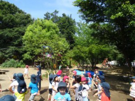 s_DSC04534