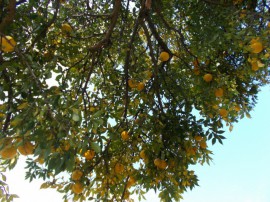 s_DSCN0710